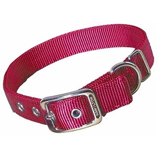 Dog Collar 16" Raspberry