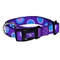 Dog Collar 18-26" Purple w Blue Dots