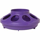 Feeder Base 1 qt PURPLE