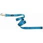 4' Ocean Blue Lead
