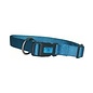 Dog Collar 16-22" Ocean Blue