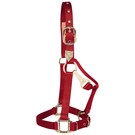 Large Red Halter