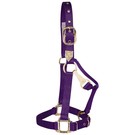 Halter Small PURPLE