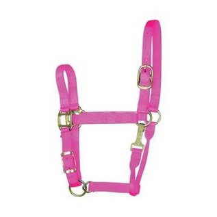 Yearling Halter HOT PINK