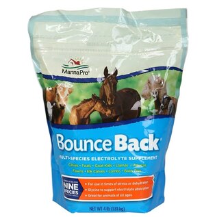 Bounce Back 4 LB