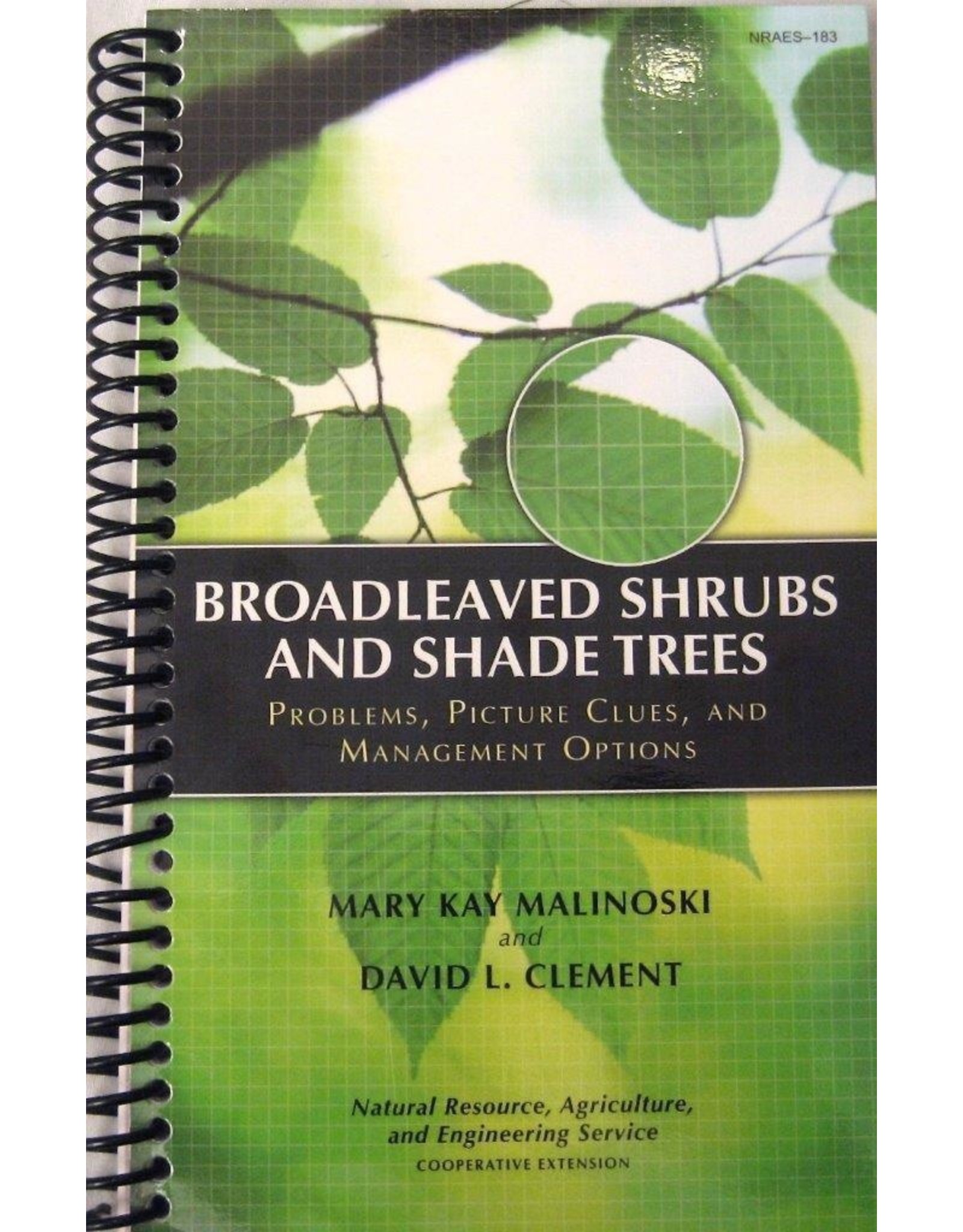 Broadleaved Shrubs and Shade Trees