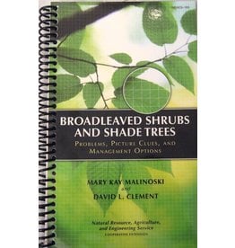 Broadleaf Shrubs and Shade Trees