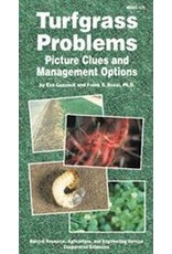 Turfgrass Problems: Pictures, Clues, and Management Options