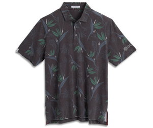 ashworth-ashworth-paradise-