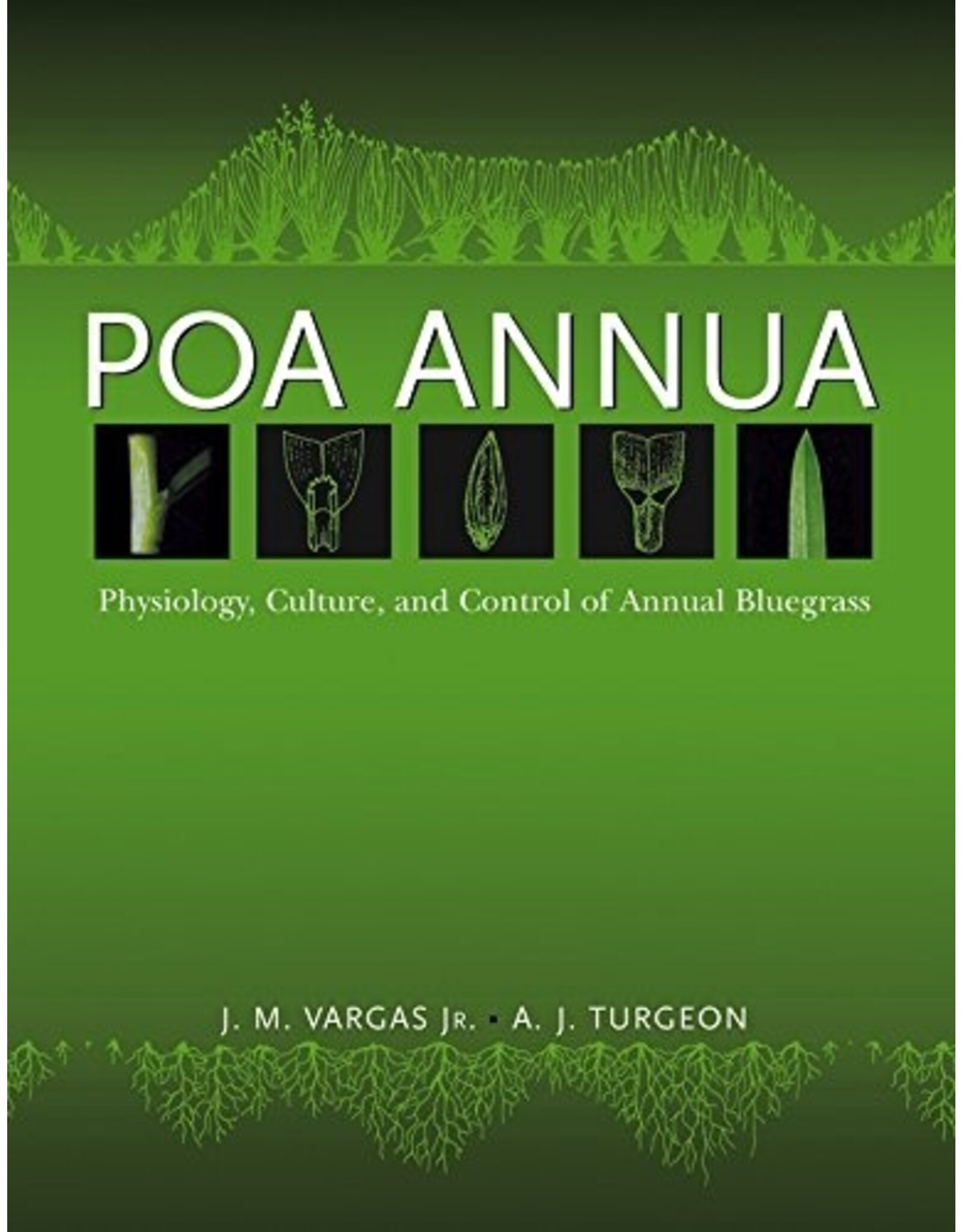 Poa Annua:  Physiology, Culture, and Control of Annual Bluegrass