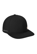 Carhartt Carhartt Ashland Cap