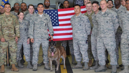Honoring Military K9 Miss Kim