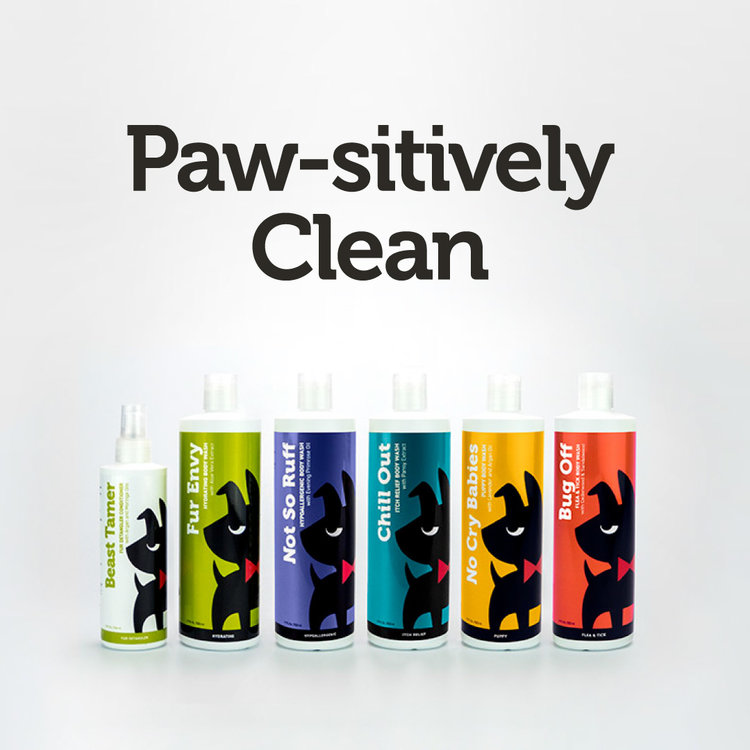 Fetch Fur Envy Hydrating Body Wash 17oz