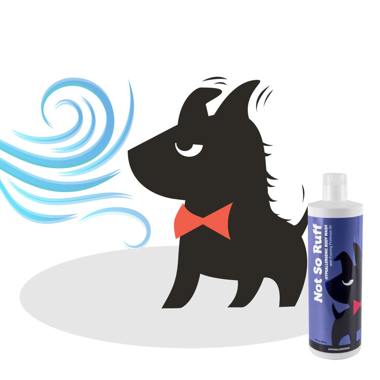 Fetch Not So Ruff Hypoallergenic Body Wash 17oz