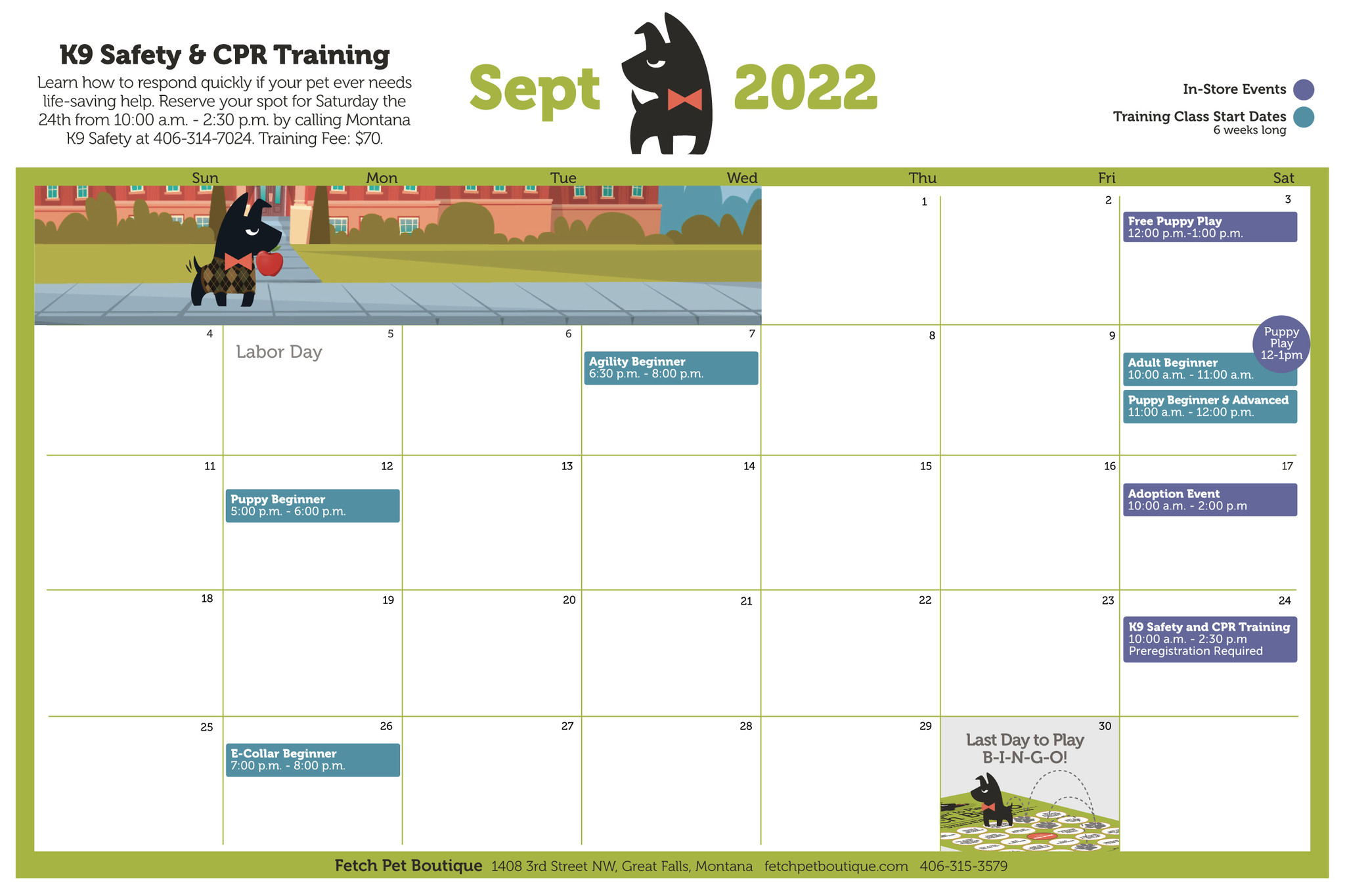 EVENTS Fetch Pet Boutique