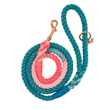Sassy Woof Ombre Rope Leash (Jack and Jill)