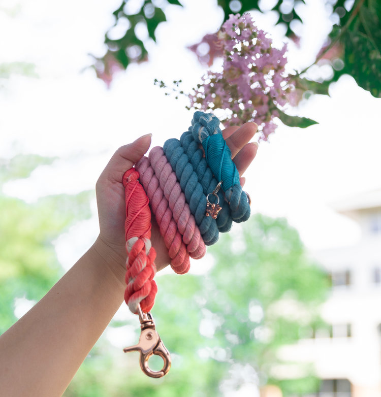 Sassy Woof Ombre Rope Leash (Jack and Jill)