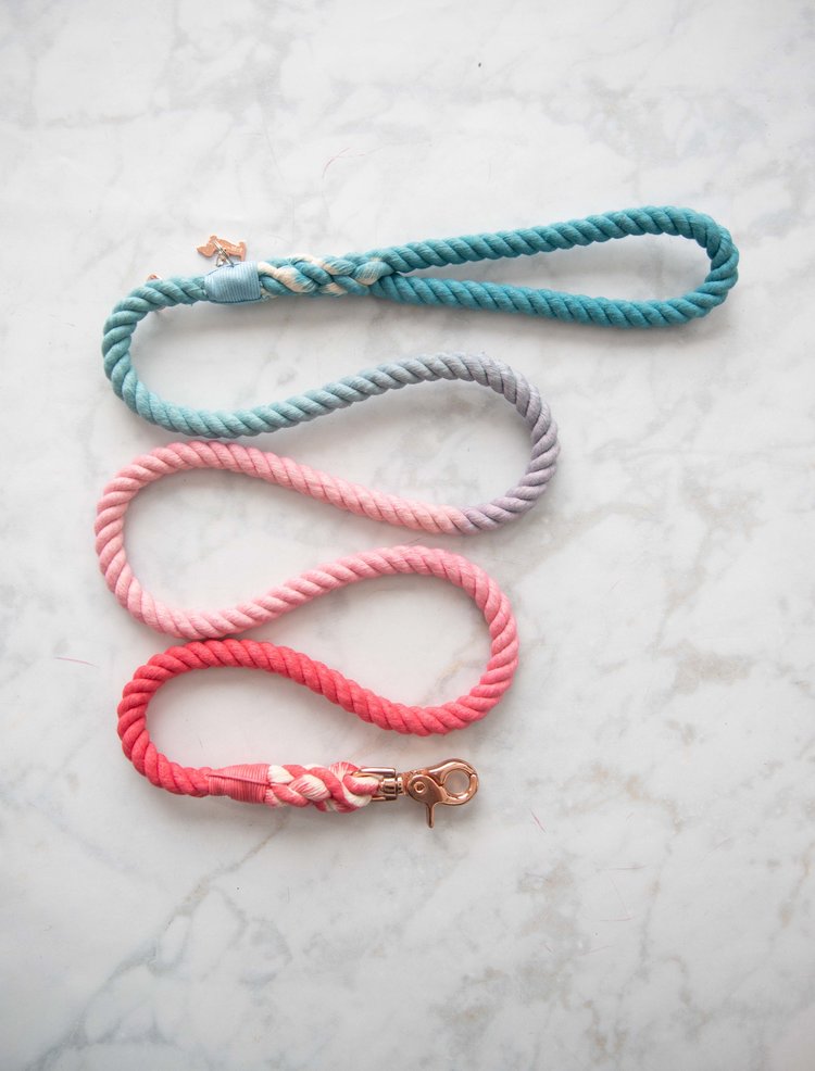 Sassy Woof Ombre Rope Leash (Jack and Jill)