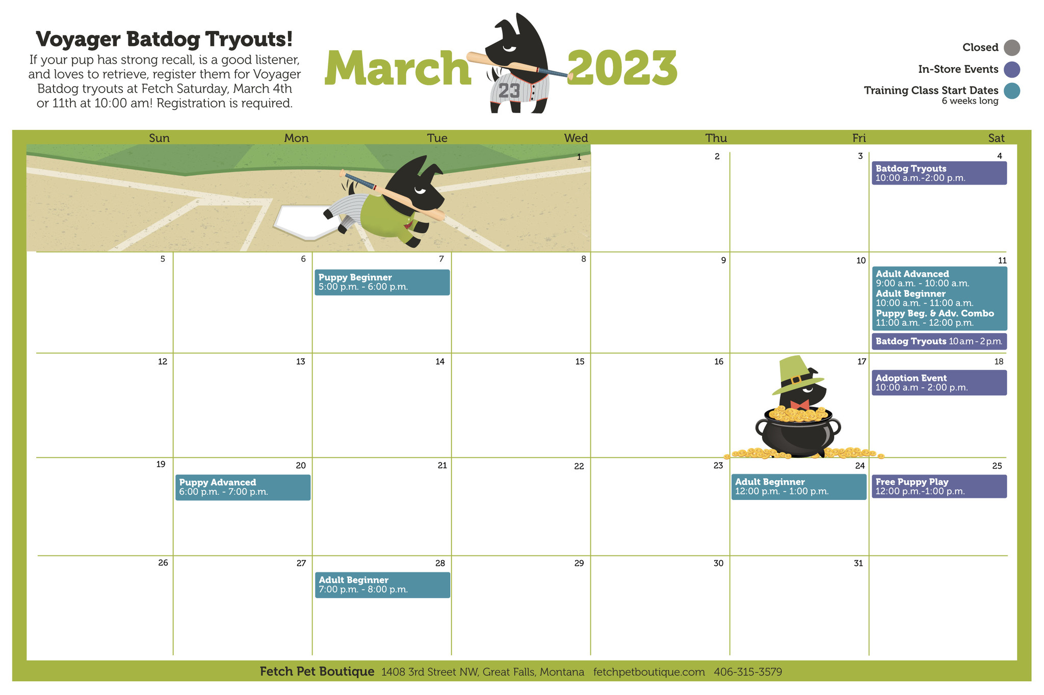 EVENTS Fetch Pet Boutique