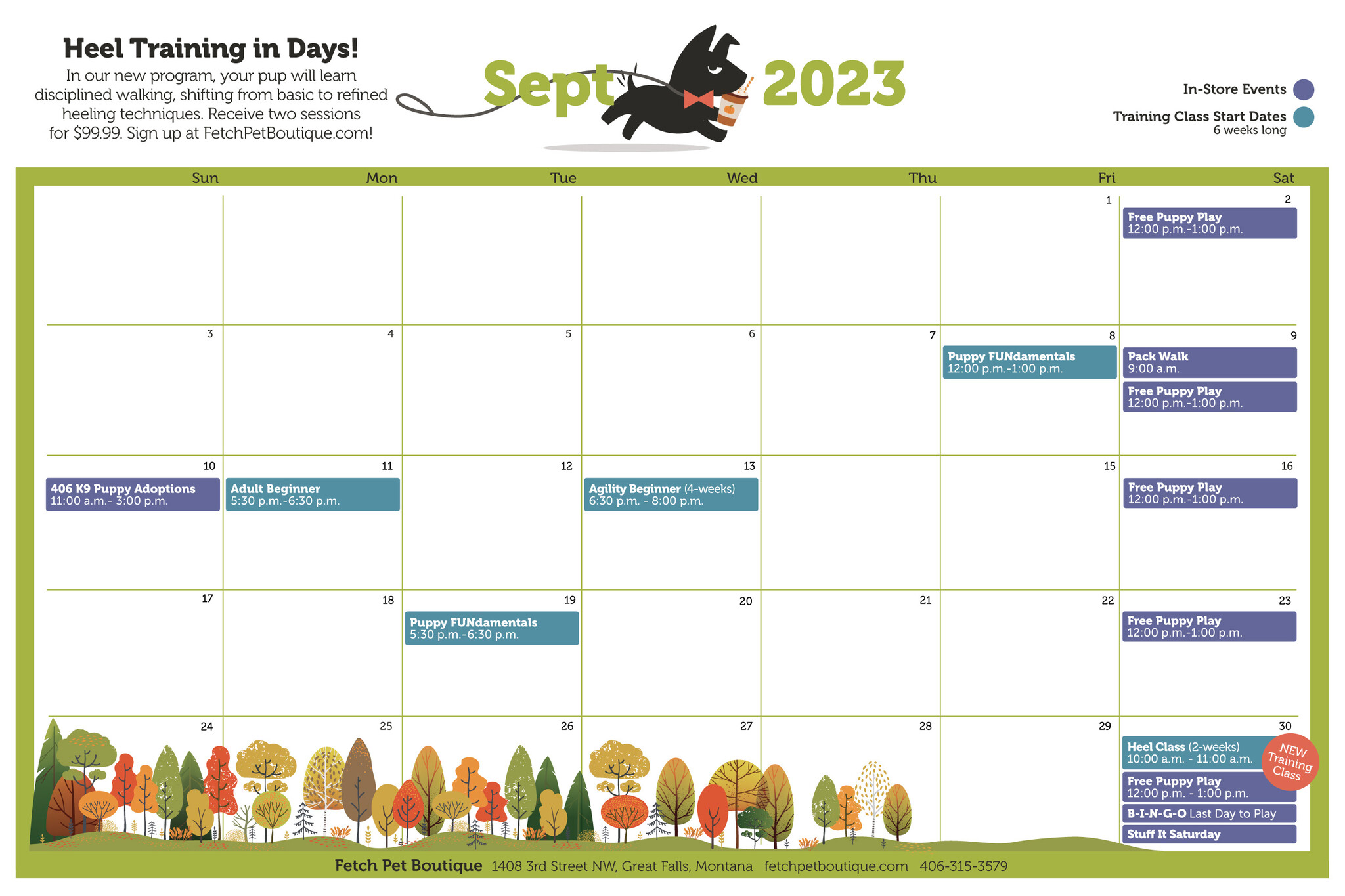 EVENTS Fetch Pet Boutique