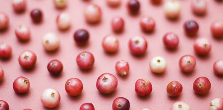 Cranberry-licious Holiday Bites