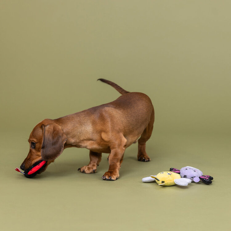 We're Super Fly 3Pack Toy