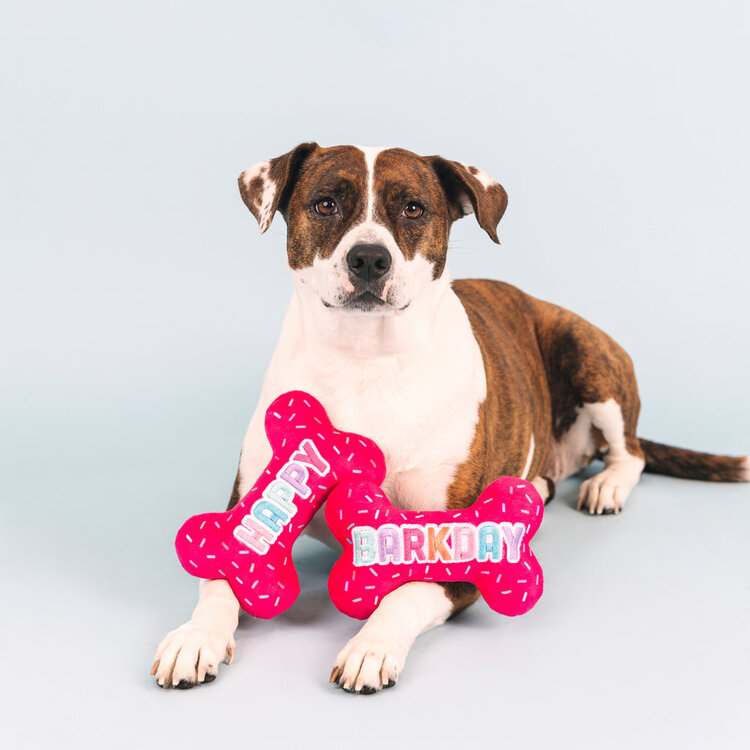 It's My Barkday
