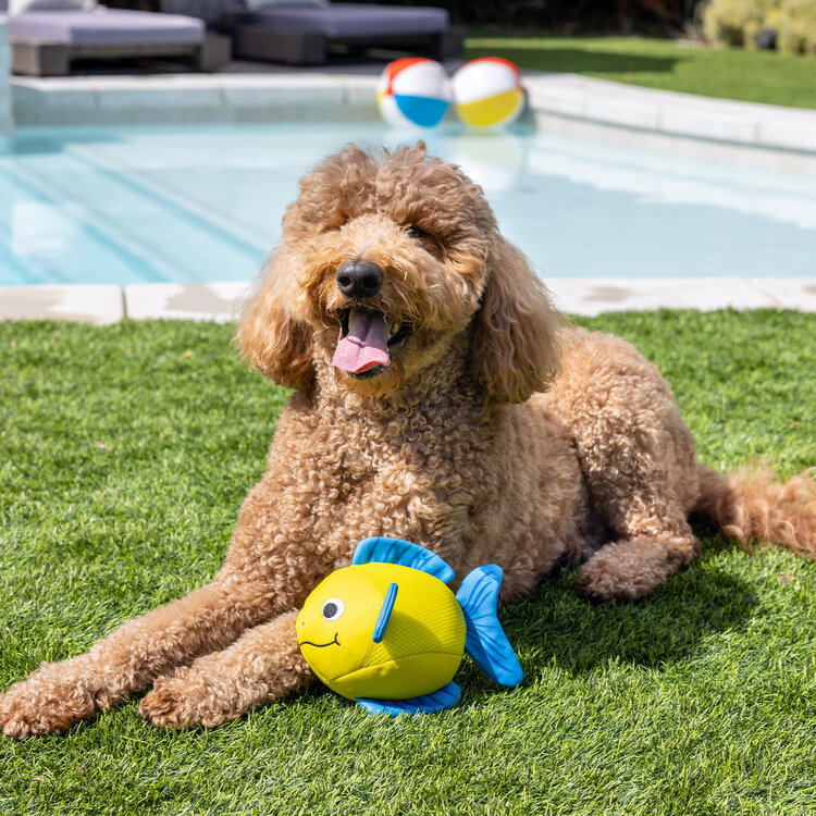 Pipsqueak Floating Toy