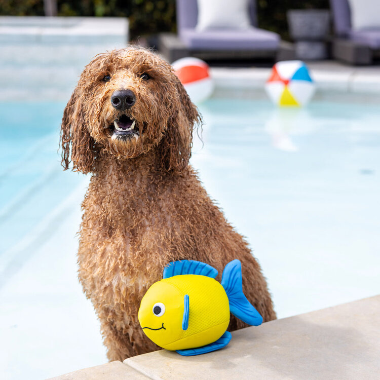 Pipsqueak Floating Toy