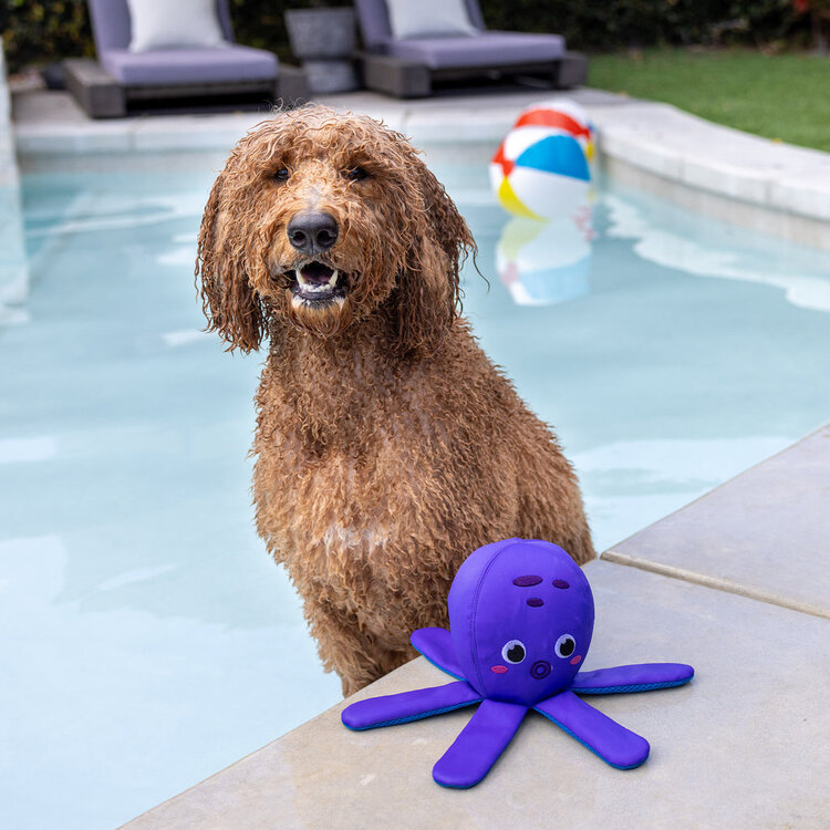 Bubbles Floating Toy