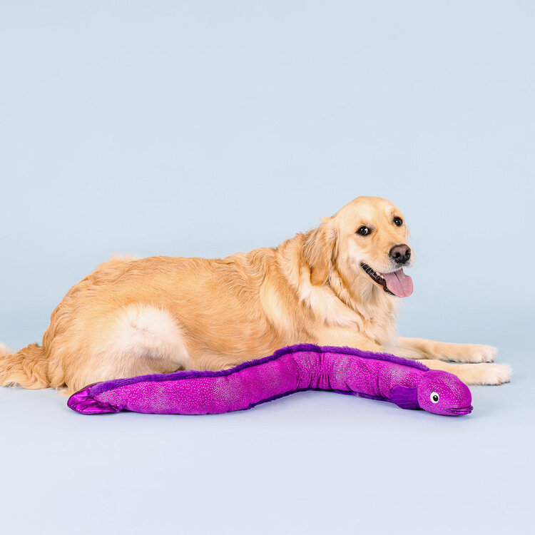 Kind of A Big Eel Toy