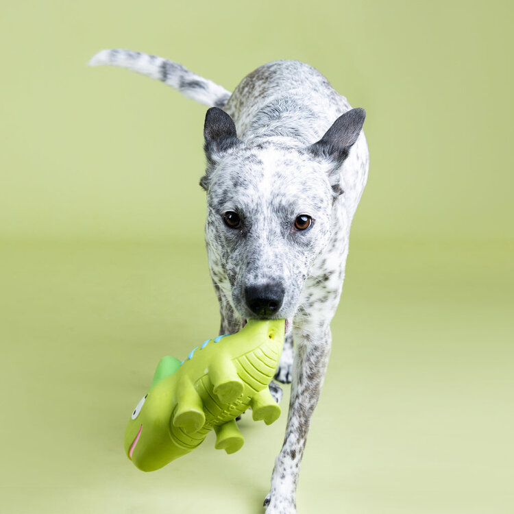 One In A Cha Million Toy