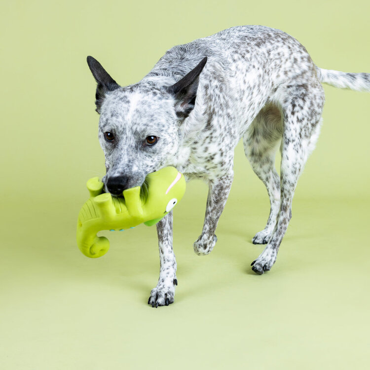 One In A Cha Million Toy