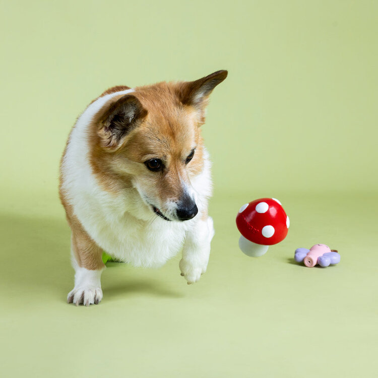 Keeping It Natural Mini Toy