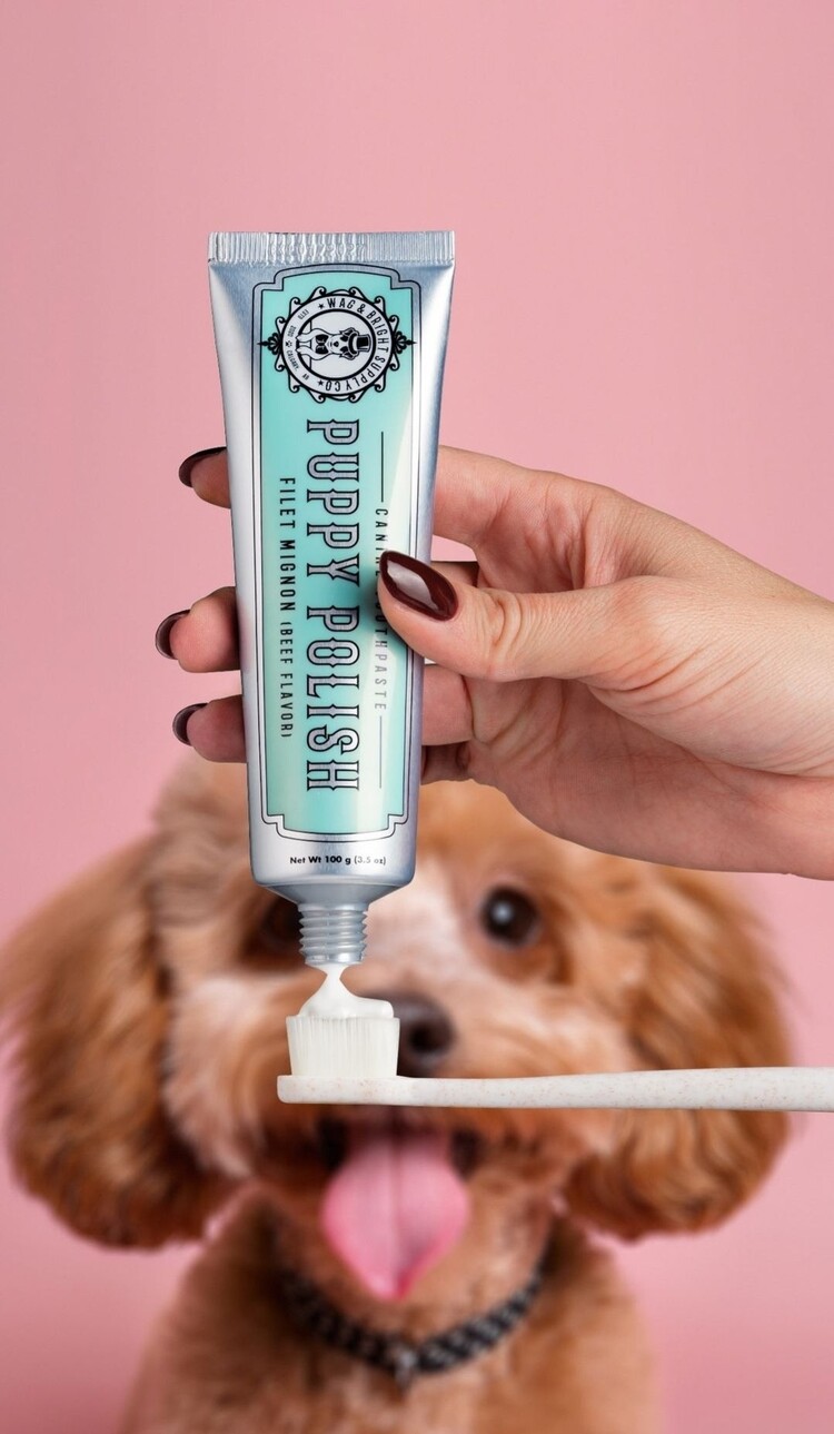 Wag & Bright Supply Co. Puppy Polisher Eco Toothbrush