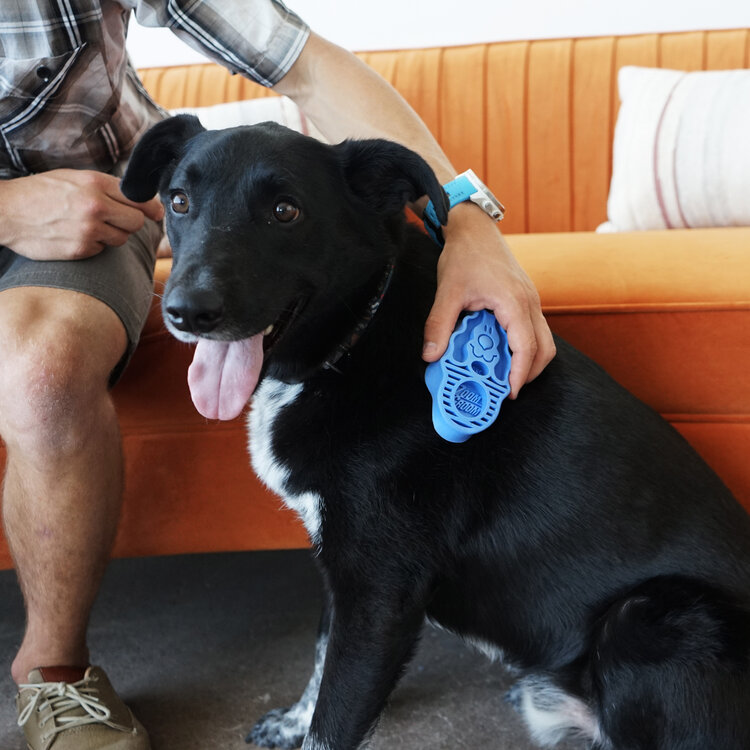 Boysenberry Zoom Groom