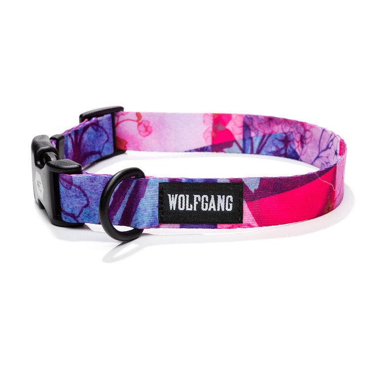 DayDream Dog Collar 12-18"