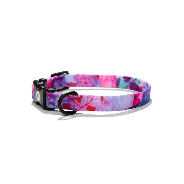 DayDream Dog Collar 12-18"