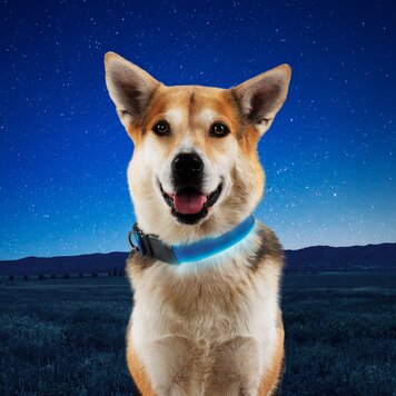 NiteIze NiteHowl LED Safety Necklace - Blue