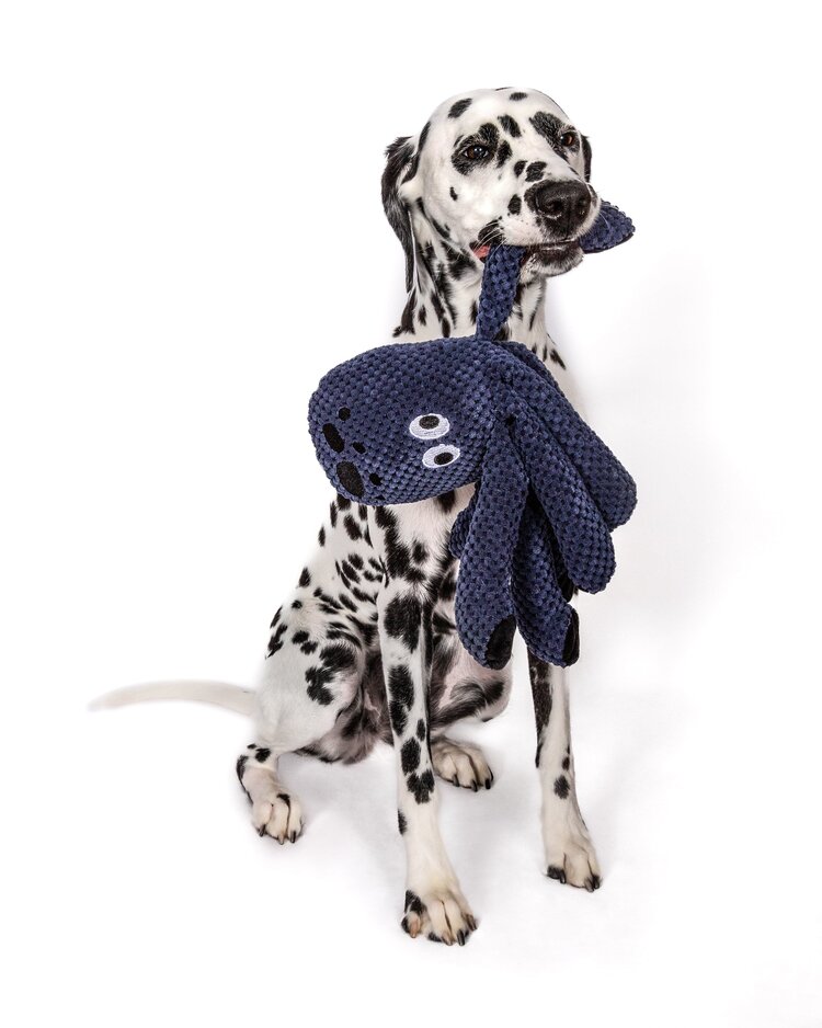 Fabdog Floppy Octopus Large