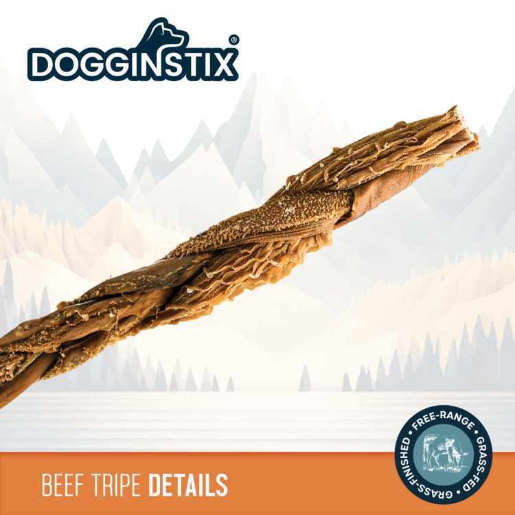 Doggin Stix Doggin Stix Beef Braid 12"