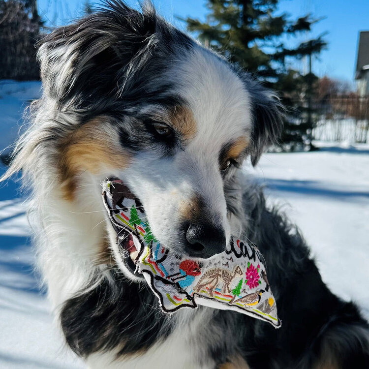 Speckle and Spot Wish You Were Here Montana