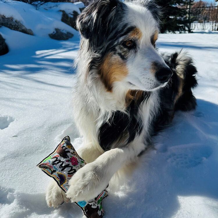 Speckle and Spot Wish You Were Here Montana