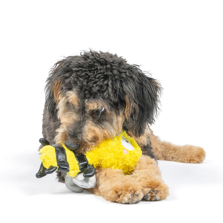 Buzz Bee Dog Toy
