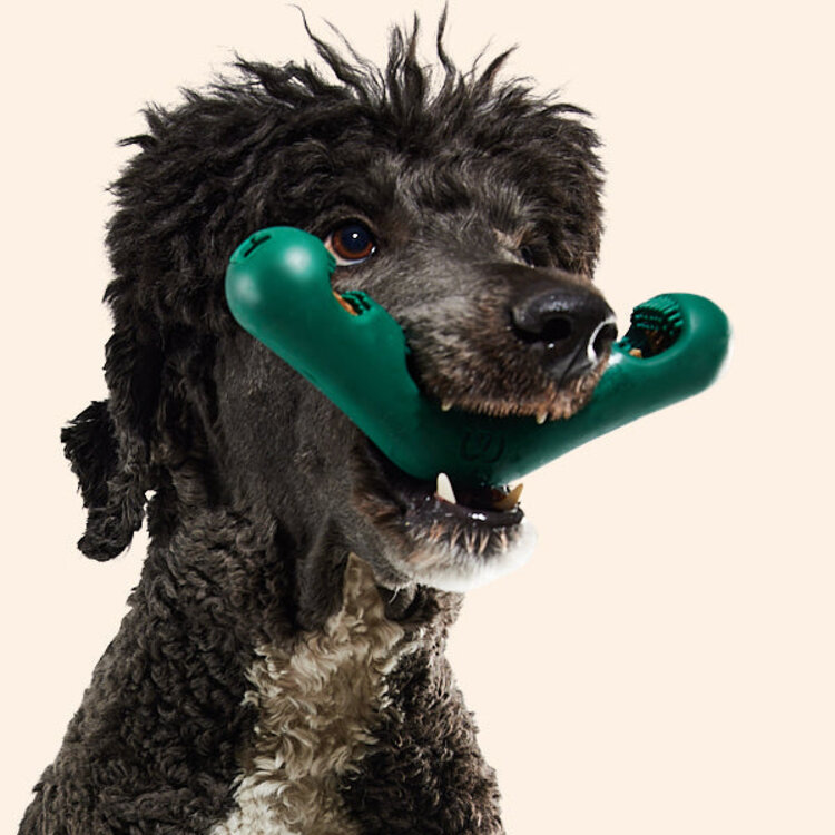 Woof Bite N Brush Refill 18pk