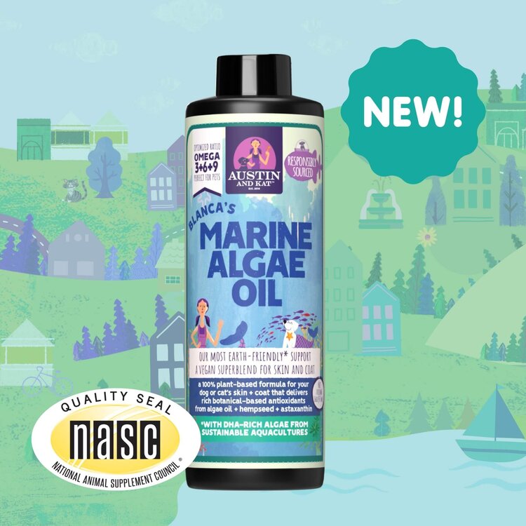 Austin & Kat A&K Marine Algae Oil
