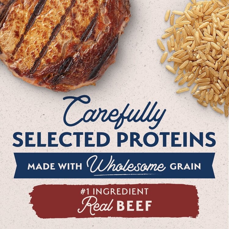 Natural Balance Natural Balance LID Beef Brown Rice 24lb