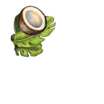 Pet-Pourri Pet Pourri Canine Coconut 16oz