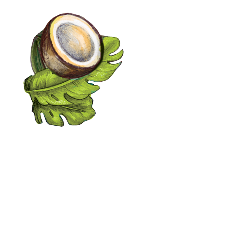 Pet-Pourri Pet Pourri Canine Coconut 16oz