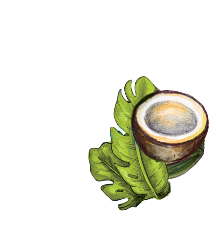 Pet-Pourri Pet Pourri Canine Coconut 16oz